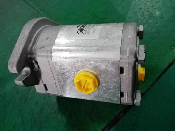 B220501000269 Caspar Hydraulic Gear Pump MOTOR PLM20.20R5-48WC-LTG/TG-N FS-D For