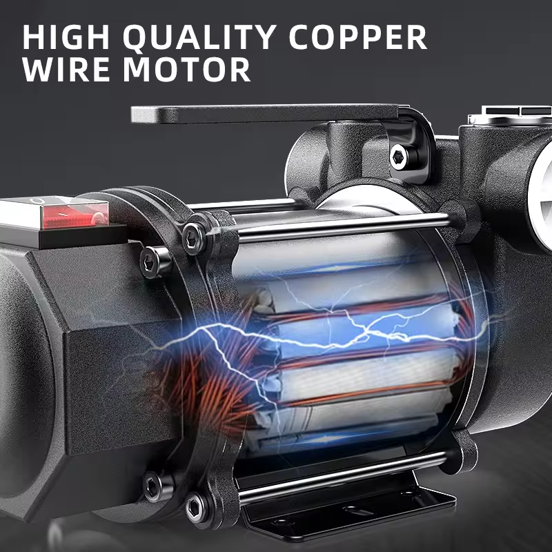 High Flow Compact Electric Oil Diesel Pumps 220V 60L/Min
