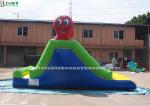 Custom Made Indoor Mini Commercial Inflatable Slides / Caterpillar Inflatable