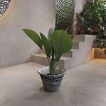 Stylish Patterned Plastic Plant Pots For Home Decor And Gardening