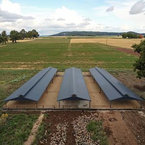 Earthquake Proof Q345 Steel Structure Building Prefab Steel Farm Building For