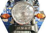 Engine 200CC 3 Wheeler Gas Motorized Tricycle