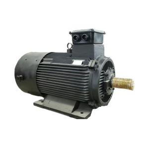 China Max 50kg Flour Capacity Permanent Magnet Synchronous Motor IEC/DIN Standard Air/Water Cooling factory