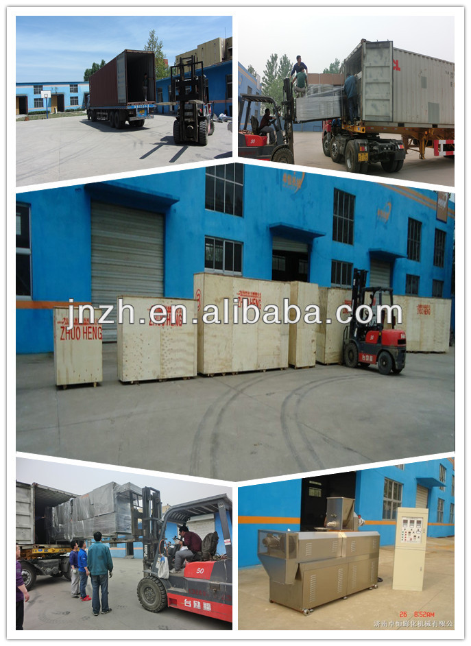 ABB Inverter Small Scale Industrial Noodles Spaghetti Macaroni Machines 3.9*3.25*3.9m