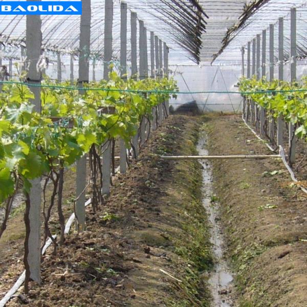 China Greenhouse Drip Tape System Warehouses 16mm Pipe Greenhouse Irrigation System factory