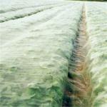 agricultural product fruit fly nets /vegetables anti fly net /greenhouse anti