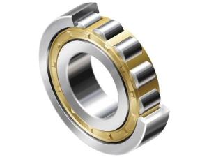China OEM NU 1021 800mm Single Row Cylindrical Roller Bearing factory