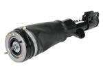 Front OEM Standard Air Suspension Shock Absorbers Struts For Land Rover