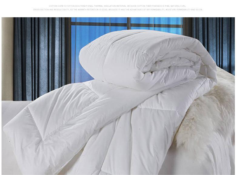 Large Quilt Core for Hotel Bedding Spring and Autumn Grade A Organic Cotton Down