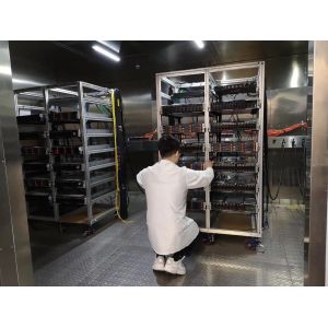 Liyi Temperature And Humidity Test Chamber , Custom Walk In Environmental