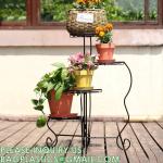 Plant Stand Indoor Outdoor, Plant Shelf Multiple Flower Pot Holder, Metal