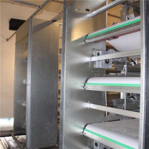 China Steady Poultry Manure Removal System , Poultry Farming Equipment Simple Operation factory