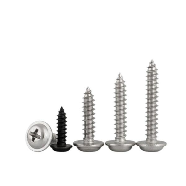 Finish OEM ODM Stainless Steel Phillips/Torx Pan Washer Head Self Tapping