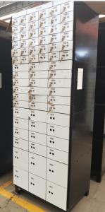 China Steel 600mm Depth 800mm Width Bank Gold Locker With Viewing Room factory