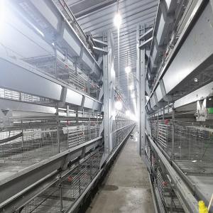 China 4 Doors q235 H Type Battery Broiler Equipment 3 Layers Poultry Shed factory