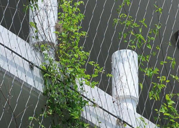 Climber Plant Trellis 1.5mm Flexible Stainless Steel Cable Mesh Metal For Green