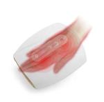 Rechargeable Cordless Hand Massager Air Compression Therapy 1800mAh
