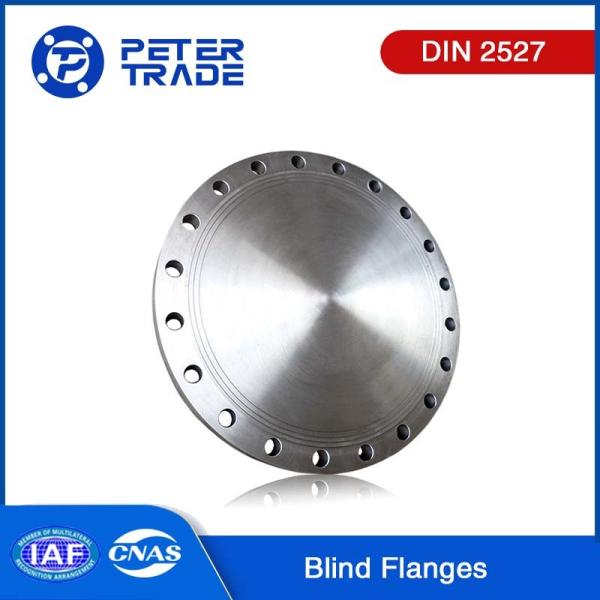 DIN 2527 PN 25 Carbon Steel/Stainless Steel Blind Flanges BLFF Flat Face For