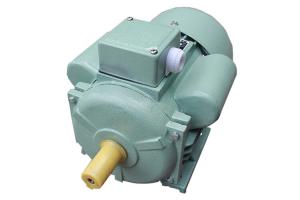 China 50 Hz Frequency Single Phase Induction Motor For Home Electric Appliance factory