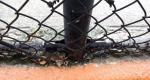 chain wire fence roll