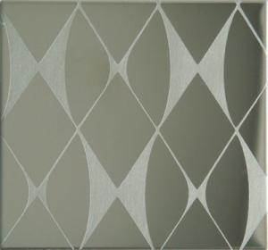 China Etching Patterned Stainless Steel Sheet , Colored Stainless Steel Backsplash Panel factory