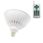 Underwater E26 Socket 40W Pentair Hayward Light Fixture