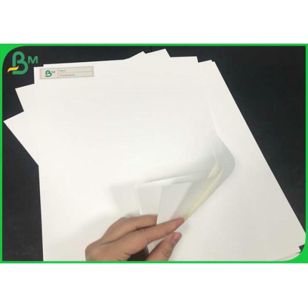 Waterproof Matte PP & PET 200um Synthetic Polypropylene Paper Roll Or Sheets