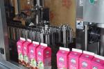 Semi Auto Gable Top Packaging Machine Carton Filling DH 1200 Roof Top