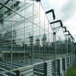 Corrosion Resistance Agriculture Solar Energy Greenhouse 2.0mm 2.5mm Thickness