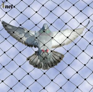 China Rot Proof Bird Deterrent Mesh 3/4&quot; Bird Protection Net For Balcony factory