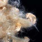 1.5D 2D Natural Protein Soybean Fiber For Spinning Or Filling