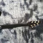 Custom IBANS Silver Finishing Electric Guitar OEM Accept Logo and Shape
