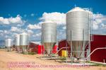 2.5tons To 12tons Breeding Tower Large Capacity Poultry Pig House Feed Storage