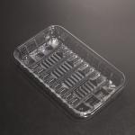7 Inch Eco Friendly Plastic PET Food Tray for Takeout Food Packing with