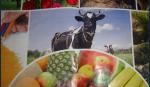 High Speed 8 Colors 1000mm Flexo Printing Machine For Pe Activities