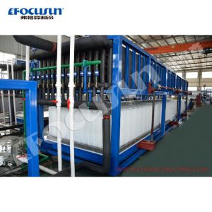 Heavy Duty 30 Ton/Day Direct Cooling Block Ice Making Machine with Bitzer