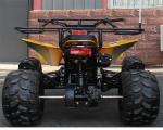 125cc Air Cooled Youth Racing ATV 4 Stroke Single Cylinder Chain Drive