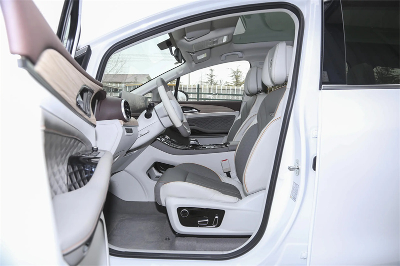 DCT Gearbox and Strong Power 's Latest MPV Motor Power Battery Vehicle M4 HEV with Customization Options from Leading Supplie
