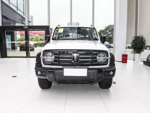 China Tank 300 2024 2.0T Tank SUV Car Conqueror White Fuel Powered Car factory