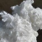 Customized Hollow Conjugated Fiber Recycled Polyester Fiber For Filling Purpose