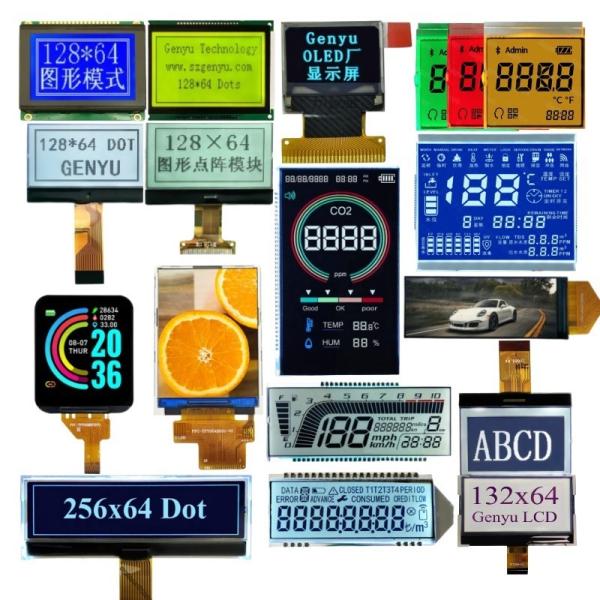China Oem Odm Monochrome 128x64 Graphic Cog Custom HTN STN Fstn Segment black Va Segment OLED IPS Color TFT Touch LCD Display Lcd factory