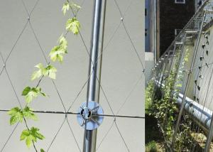 China Architectural Surface Stainless Steel Wire Rope Mesh Green Plant Climbing Wall Netting factory