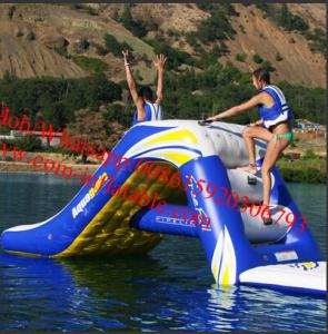 China Freefall 6 Inflatable Water Slide Aquatic Jungle Joe Water Slide factory