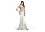 Sheer Prom Celebrity Lace Appliques Long Sleeve Evening Gowns Anti - Wrinkle