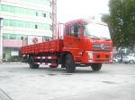 10Ton Tipper Cargo Truck Cummins Diesel Engine Manual Transmission and Left