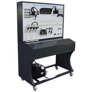 50Hz Gasoline Engine Automotive Education Equipment Engine Control System