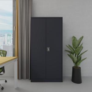China Commercial Metal Gym Locker H1850mm Raja Rani Steel Cupboard Powder Coating factory