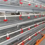 Labor Saving Husbandry Equipments Large Scale Modern Farm Quail Cage