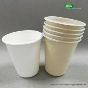 China 8oz Sugarcane Cup Compostable And Degradable 100% Sugarcane Pulp Cup Paper Coffee Cups With Lids For Coffee,Tea,Juice factory