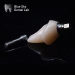 Hypoallergenic Titanium Implant With Zirconia Abutment Blue Sky Implant System